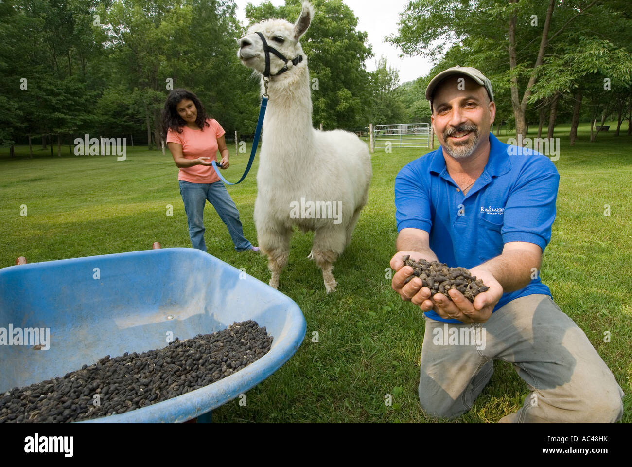 Ein Lama Bauer posiert mit Lama Exkremente, die als ein organischer Dnger  Blairstown New Jersey verwendet wird Stockfotografie - Alamy
