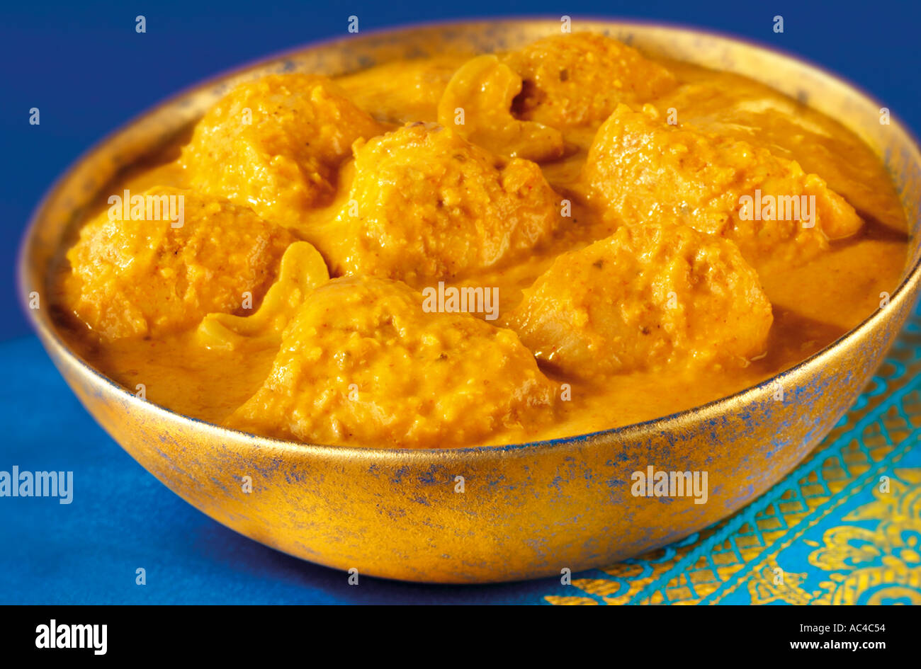 INDISCHES CURRY CHICKEN KORMA Stockfoto
