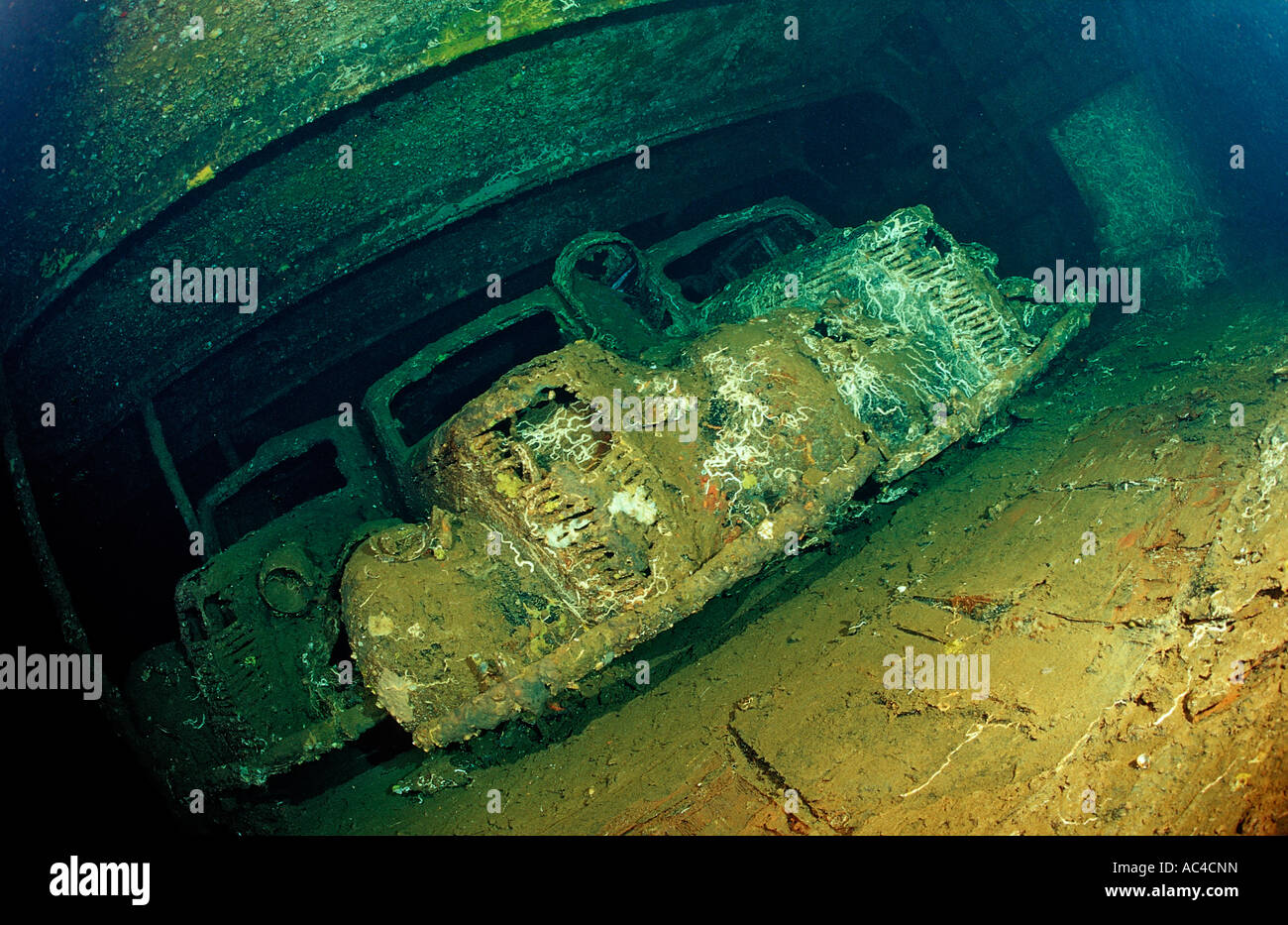 Taucher Tauchen in der Umbrien Schiffbruch Militärfahrzeuge Sudan Afrika Rotes Meer Wingate Reef Stockfoto