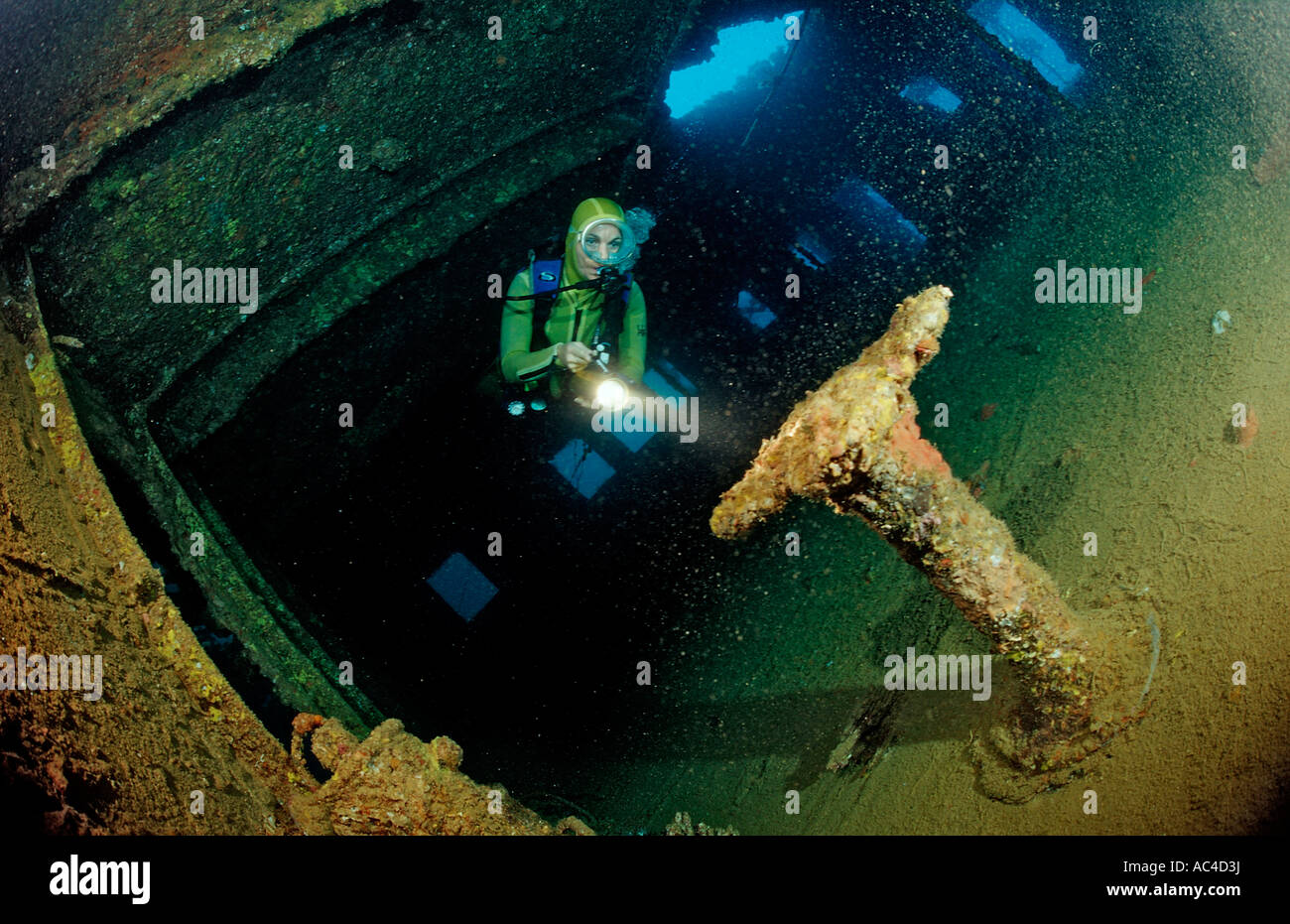 Taucher Tauchen in der Umbrien Schiffbruch Bomben Sudan Afrika Rotes Meer Wingate Reef Stockfoto