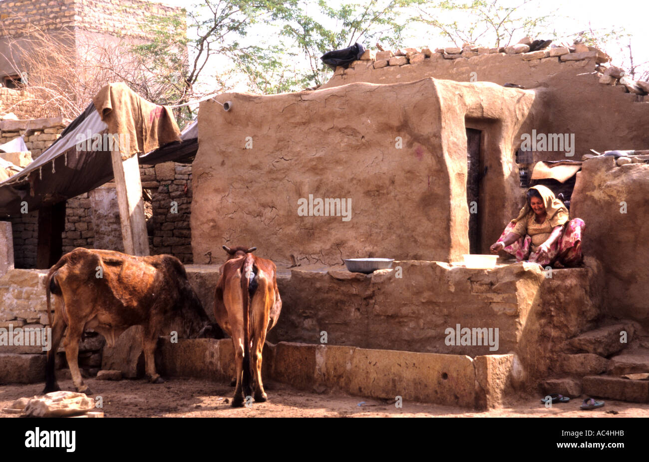 Indien Rajasthan Jaisalmer Asien Stadt Stockfoto