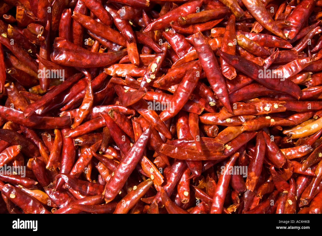 Chilis zum Verkauf an der Jagalchi-Fisch und Meeresfrüchte-Markt in Busan, Südkorea. Stockfoto