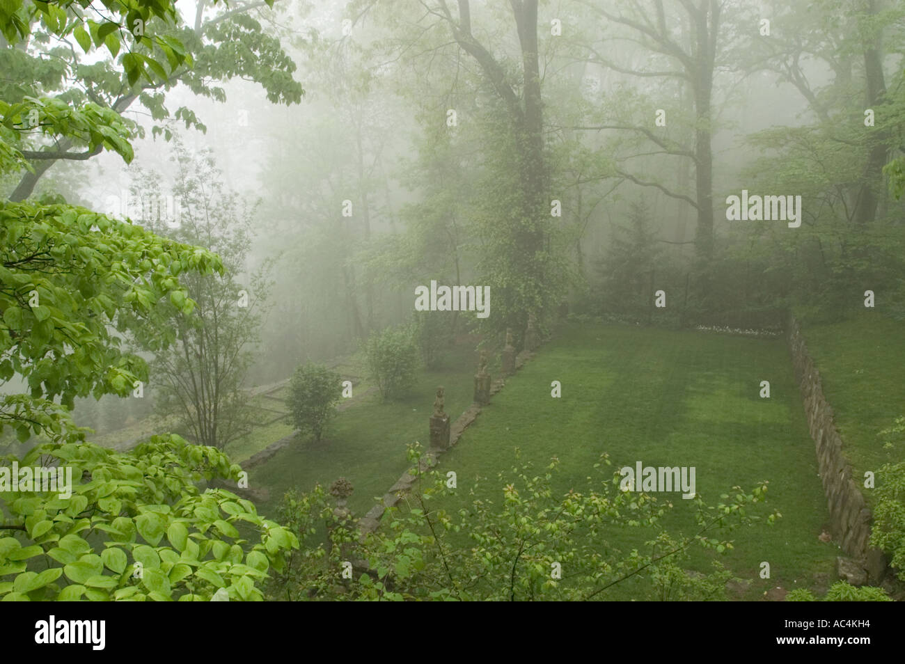 Nebligen Szene auf Lookout Mountain in der Nähe von Chattanooga, Tennessee. Stockfoto