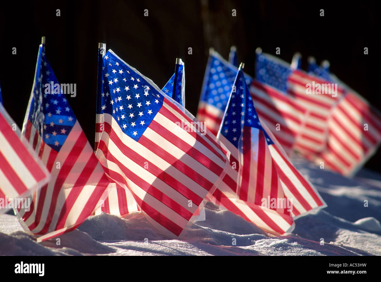 AMERIKANISCHE FLAGGEN IM VERSCHNEITEN VORGARTEN EINES HAUSES IN MINNESOTA. WINTER. Stockfoto