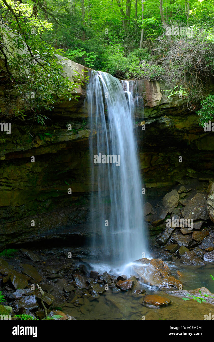 Gurken-Wasserfälle in die Ohiopyle State Park Recreation Area im südlichen Pennsylvania PA Stockfoto
