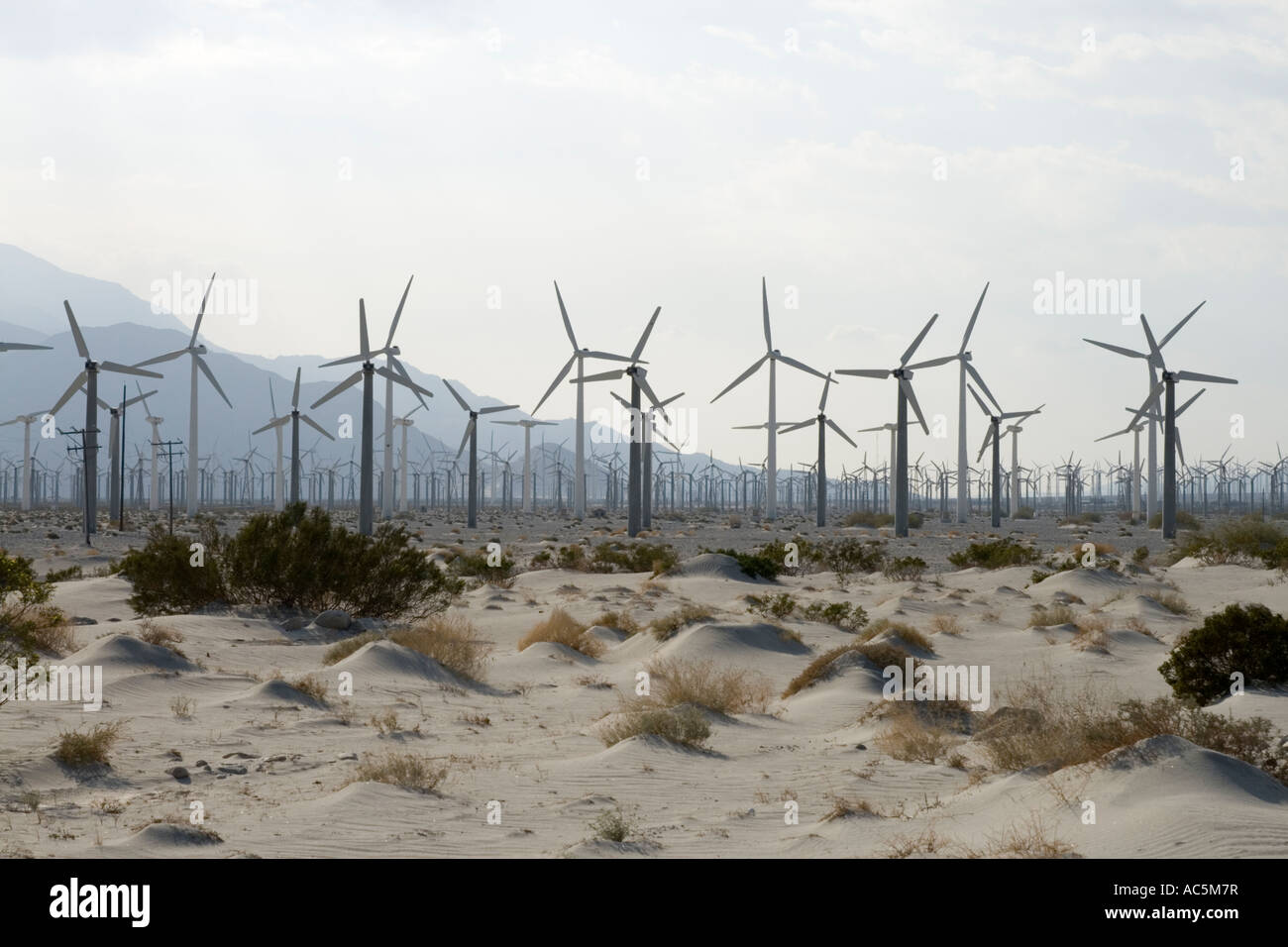 Palm Springs Windenergieanlagen Stockfoto