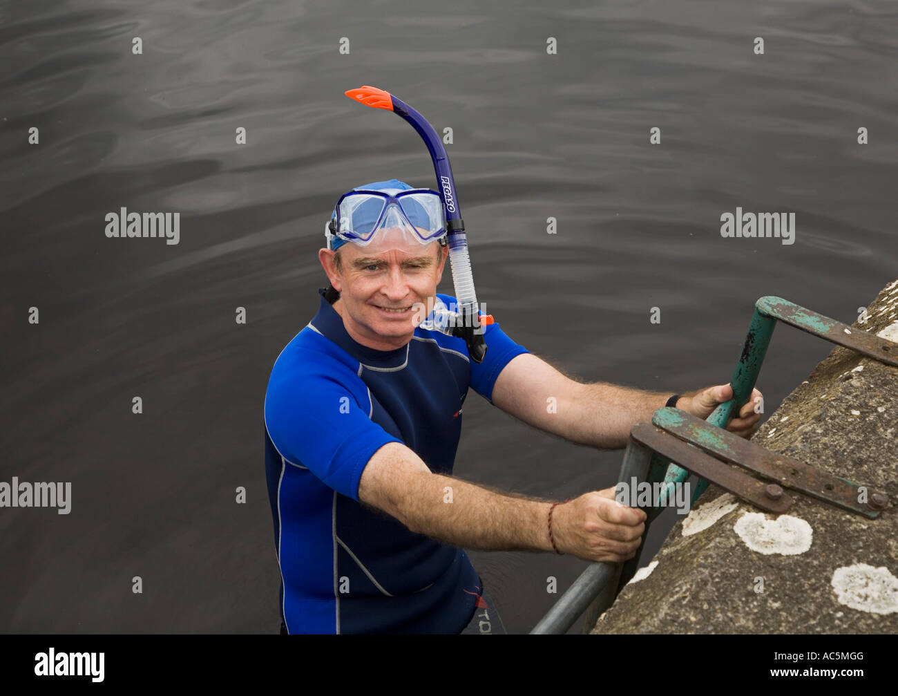 Männlichen Taucher im Lough Derg Irland Stockfoto