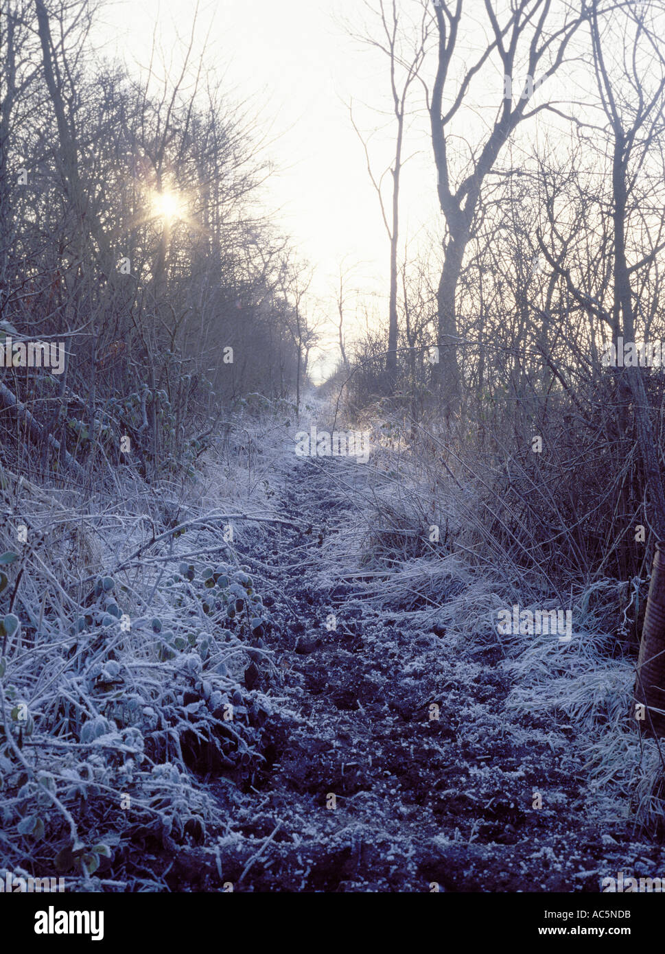 Rambler Pfad rechts des Weges, Warwickshire, England UK an einem frostigen Morgen Stockfoto
