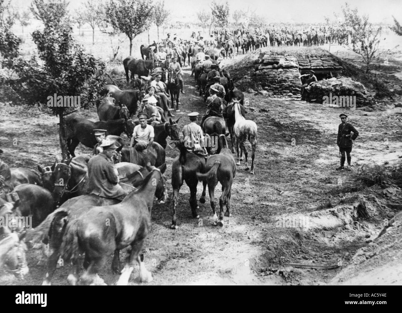 WWI britische Artillerie Pferde an einem Wasserloch wahrscheinlich in Palästina Stockfoto