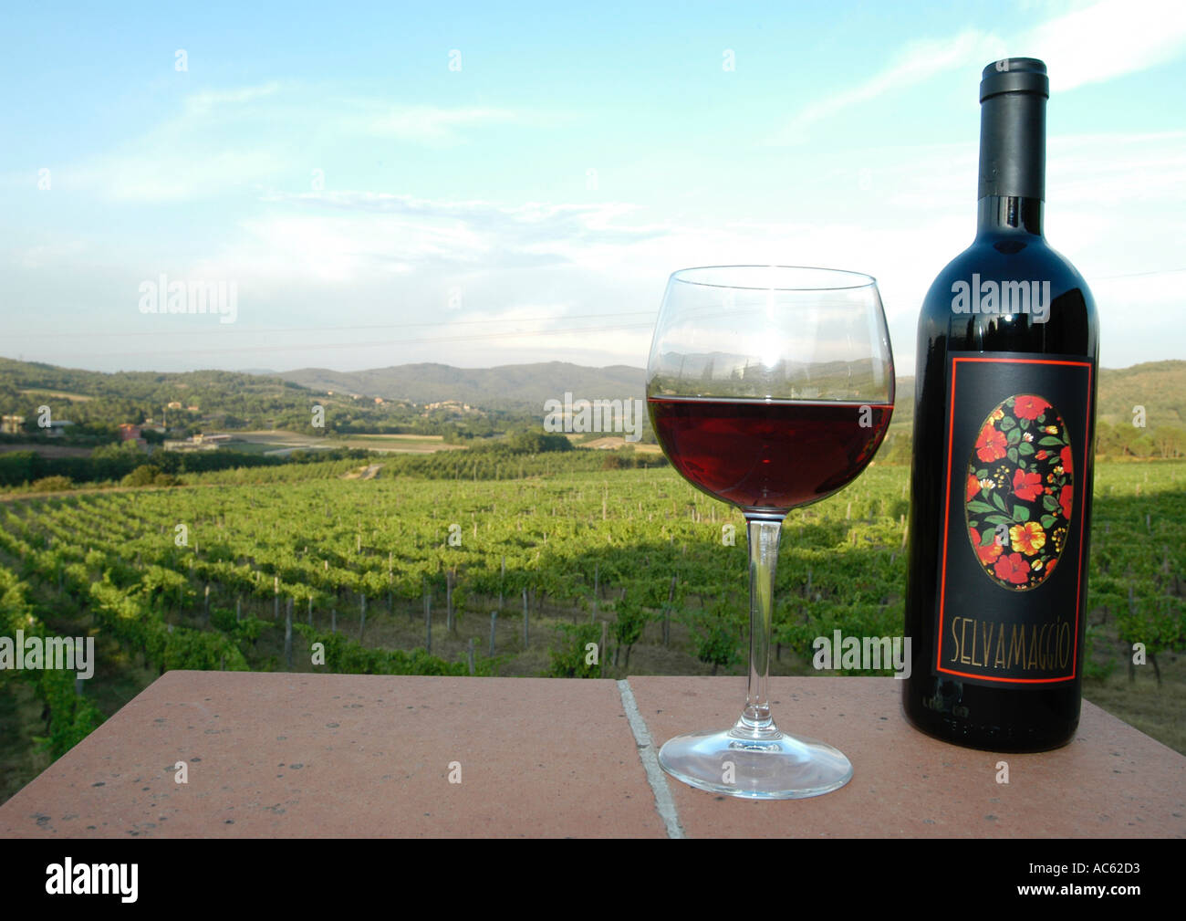 Flasche Glas italienischen Rotwein mit toskanischen Weinberg im Hintergrund Stockfoto
