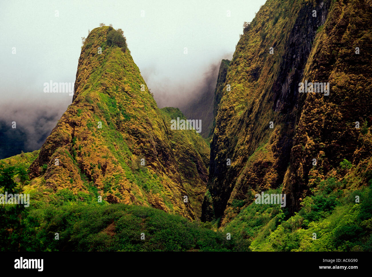 Iao Needle, iao Valley, iao Valley State Park, State Park, Maui Island, Maui, Hawaii Stockfoto