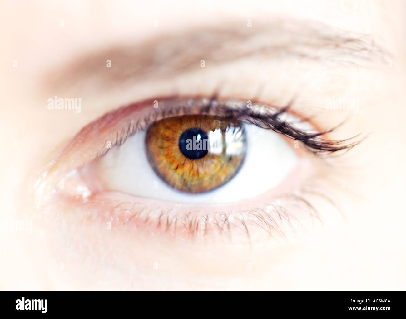 Augensymbol sehen, schauen Sinneswahrnehmung Vision der zukünftigen Beobachtung Suche Perspektive Ziel Ansicht Hoffnung Stockfoto