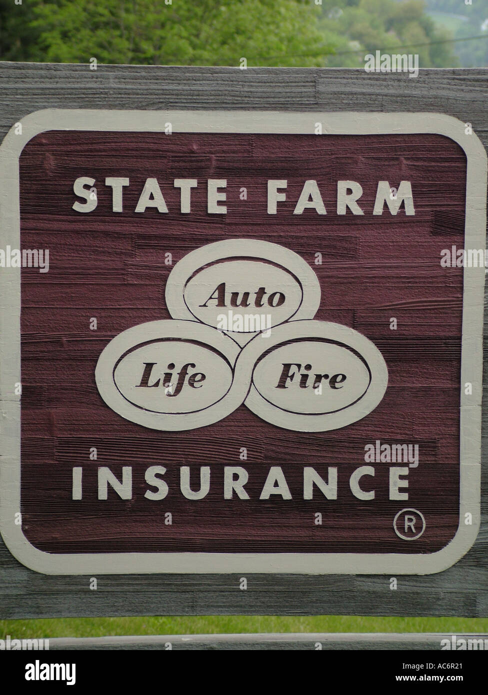 AJD42954, State Farm Insurance, Auto, Leben, Feuer, Schilder Stockfoto
