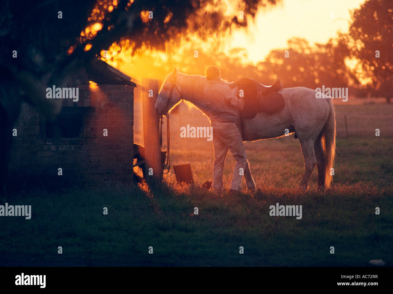 Stockman, satteln auf seinem Pferd im Morgennebel, Australien Stockfoto