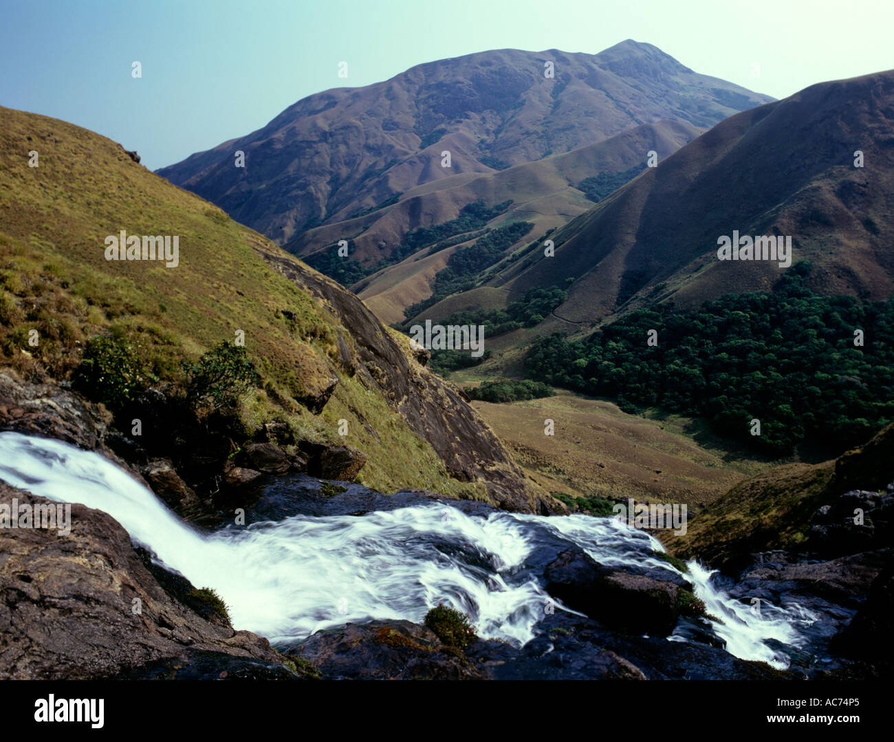 ROLLENDE GRASLAND MIT ERAVIKULAM STREAM, ERAVIKULAM NATIONALPARK Stockfoto