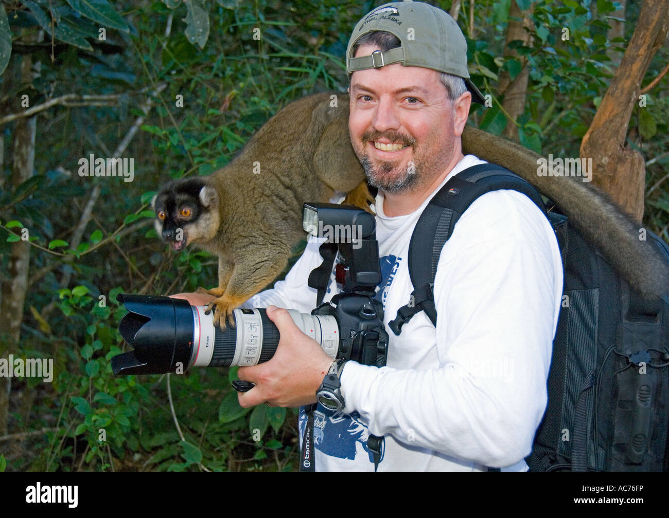 Touristen mit zahmen braune Lemuren Vakona Lodge, Perinet Reservat, östlichen Madagaskars Stockfoto