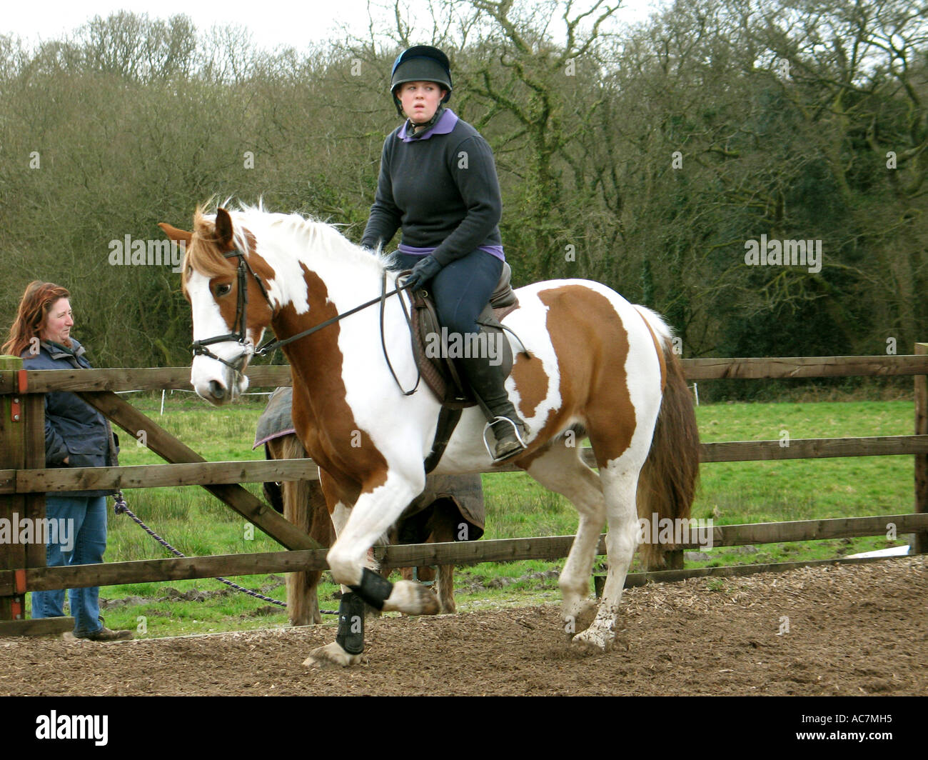 Reiten in einer Schule Stockfoto