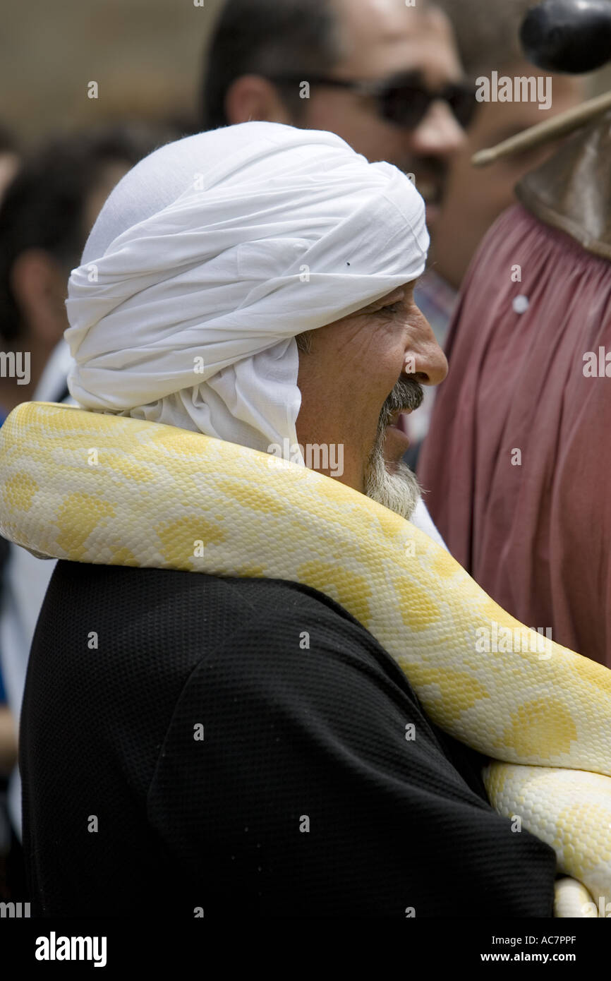 Große gelbe Python um den Hals seines Besitzers während Mittelaltermarkt, Balmaseda, Baskisches Land, Spanien Stockfoto