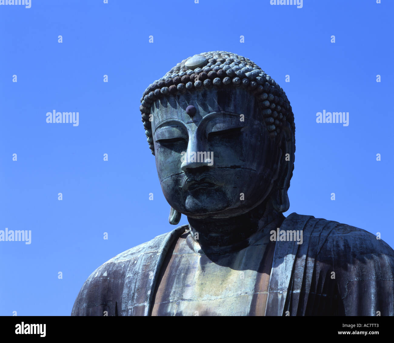 Grosse Buddha Daibutsu, Kamakura. Bronzestatue des Amida Buddha 13,5 m hoch. Stockfoto