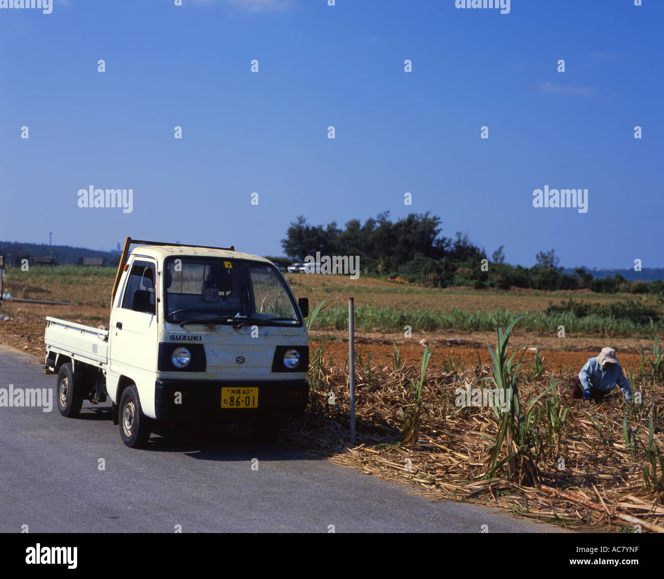 Kleine "K" LKW mit 660cc Motor abholen. Beliebt bei den örtlichen Bauern auf der Insel Okinawa Stockfoto