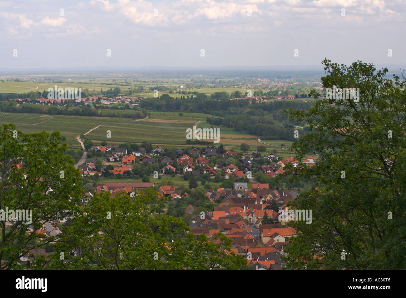 Blick über die Rheinebene in Rheinland-Pfalz Deutschland Stockfoto