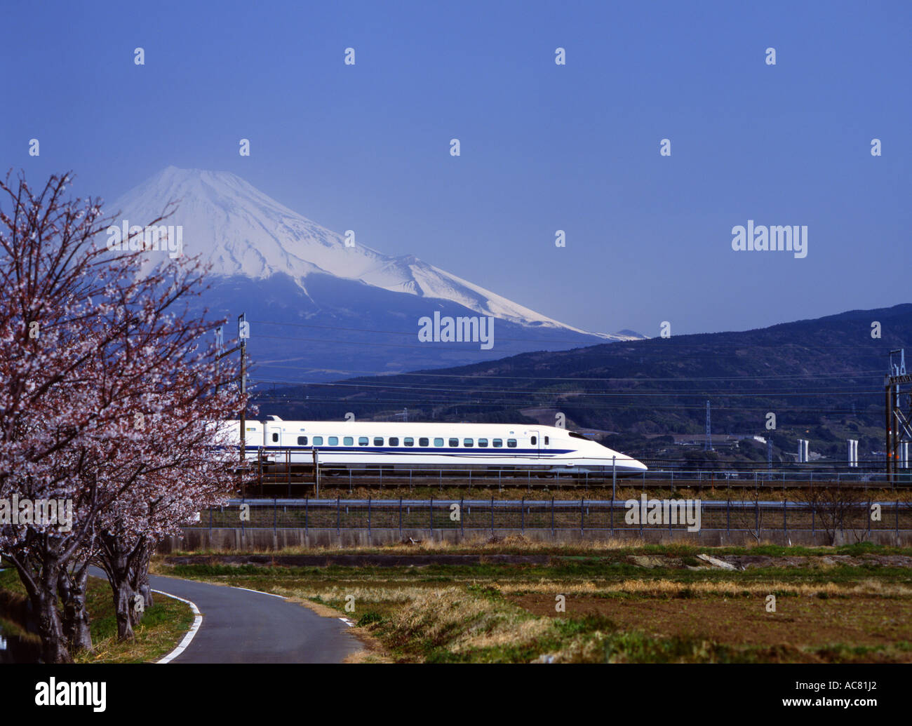 Mount Fuji, Cherry Blossom und Shinkansen Bullet Train. Stockfoto