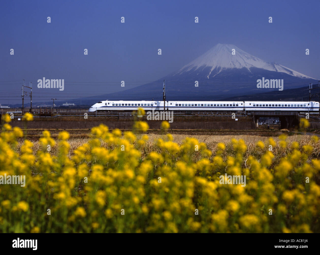 Fuji und Shinkansen Bullet Train. Stockfoto