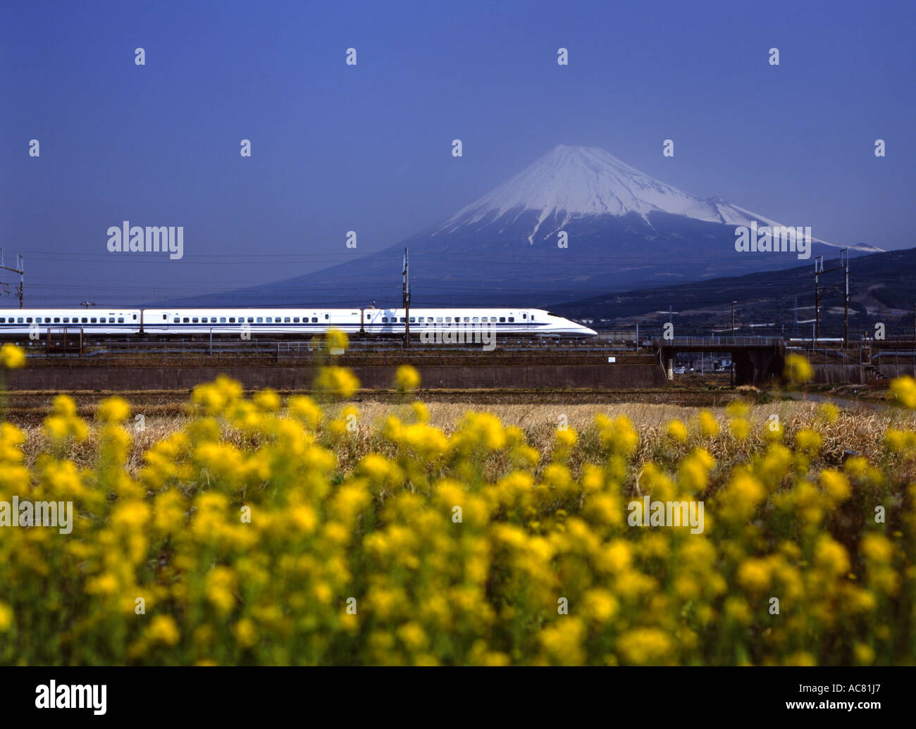 Fuji und Shinkansen Bullet Train. Stockfoto