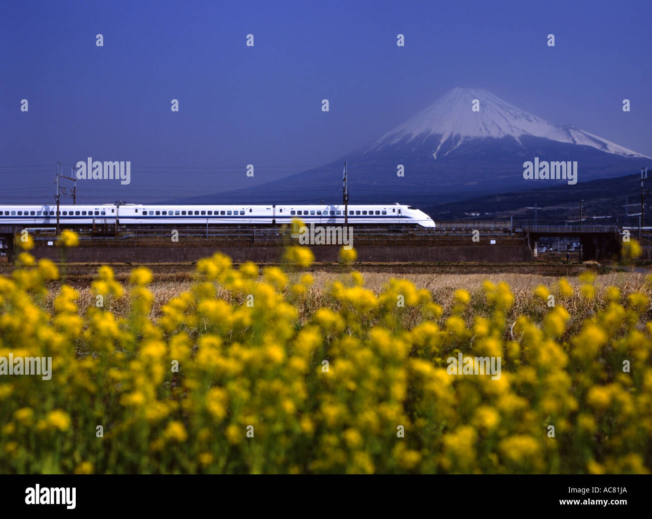 Fuji und Shinkansen Bullet Train. Stockfoto
