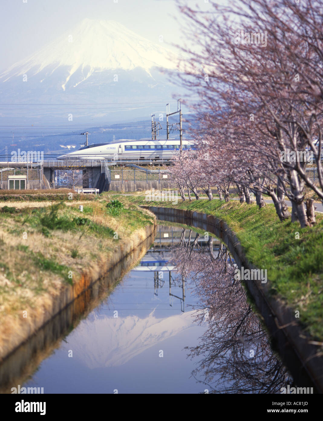 Shinkansen-Hochgeschwindigkeitszug, Kirschblüten und Mount Fuji spiegeln sich im Wasser Stockfoto