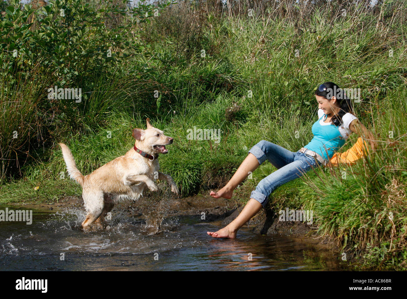 Golden Retriever und junge Frau am Ufer spielen Stockfoto