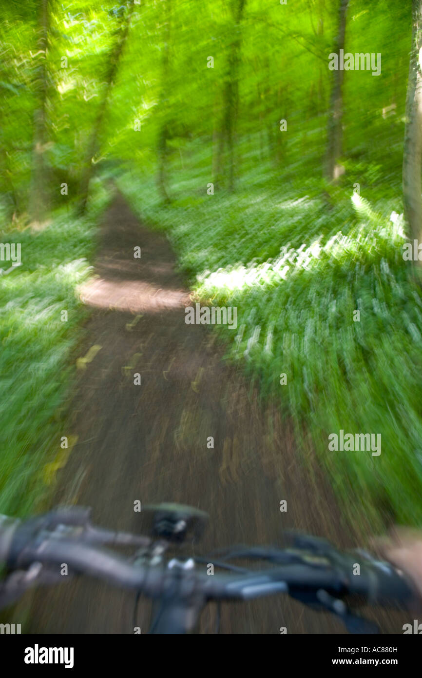 Blick vom Fahrrad auf bewaldete Strecke, Uley, UK Stockfoto