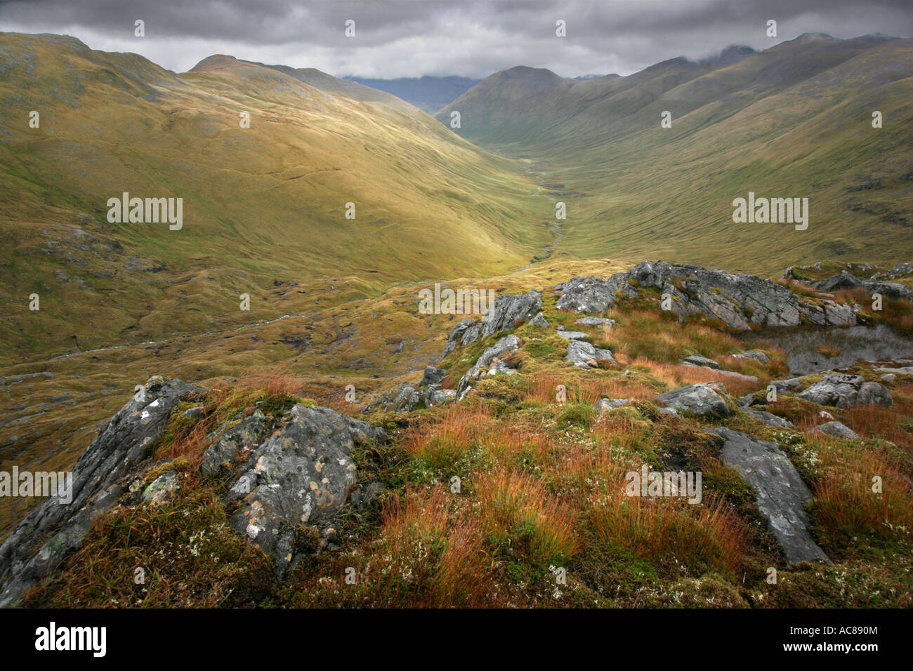 Berglandschaft in Glen Affric, Schottland Stockfoto