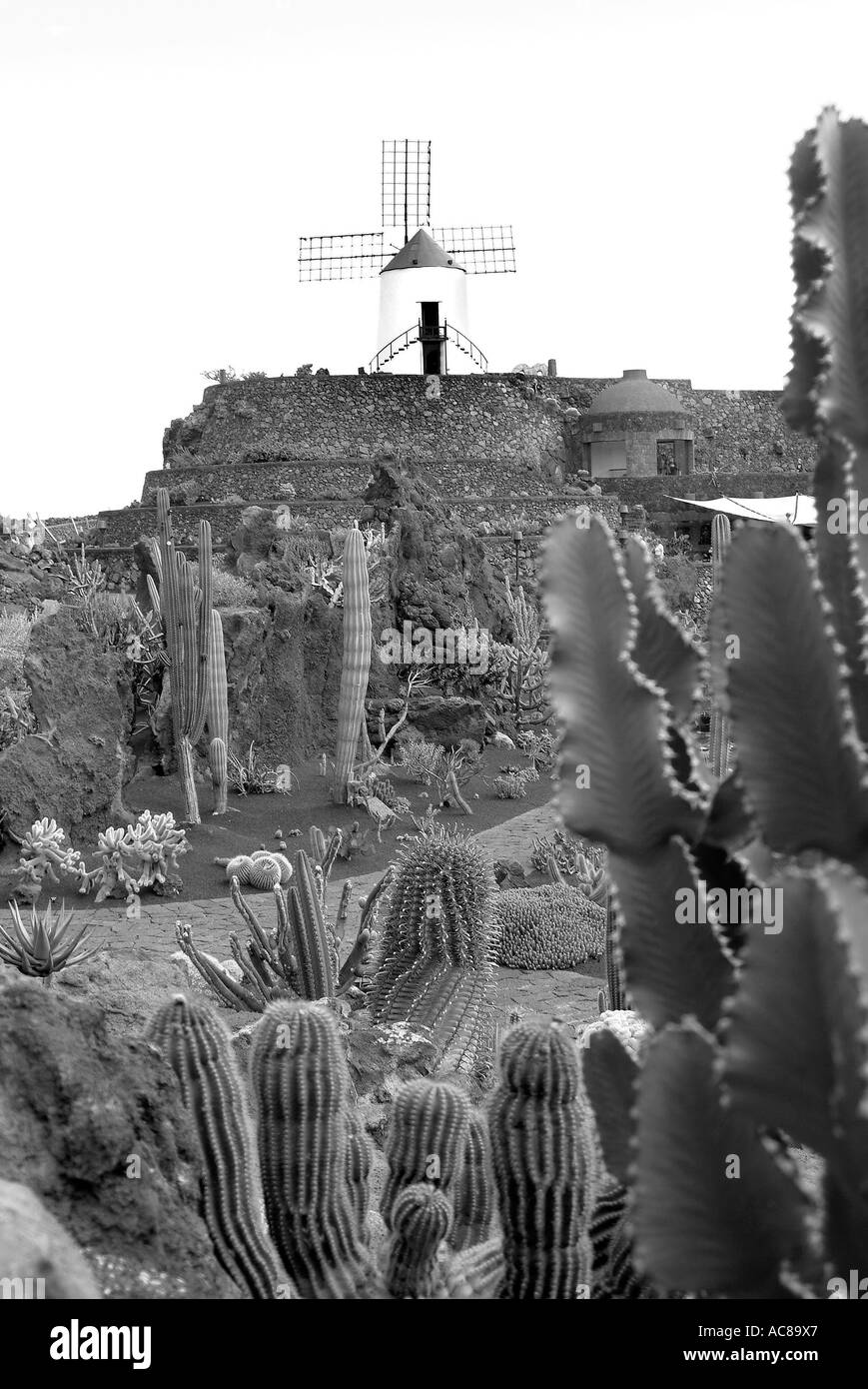 Jardin de Cactus Kanarische Inseln Kaktusgarten Lanzarote Kanarische Inseln Stockfoto