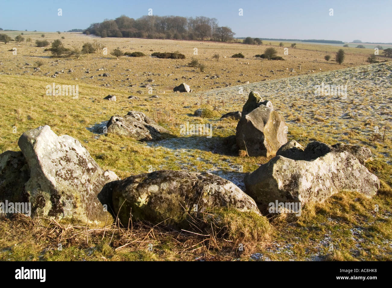 Sarsen Steinen im Tal Fyfield unten National Nature Reserve Ridgeway Avebury Wiltshire England Stockfoto