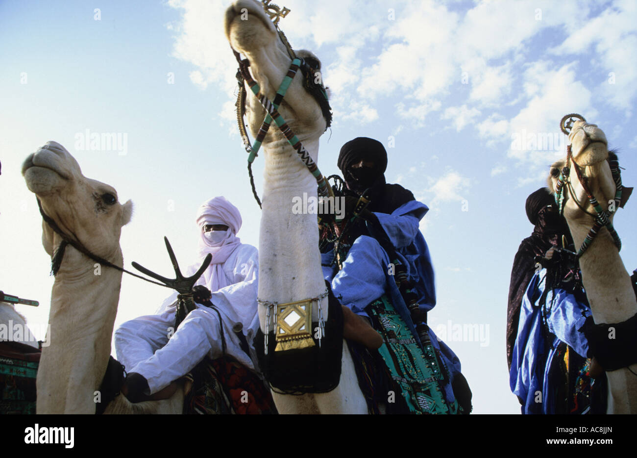 Drei Tuareg-Stämmen auf ihren Kamelen auf dem Festival von Cure Salée, Ingall, in der Nähe von Agadez, Wüste Sahara, Westafrika Stockfoto