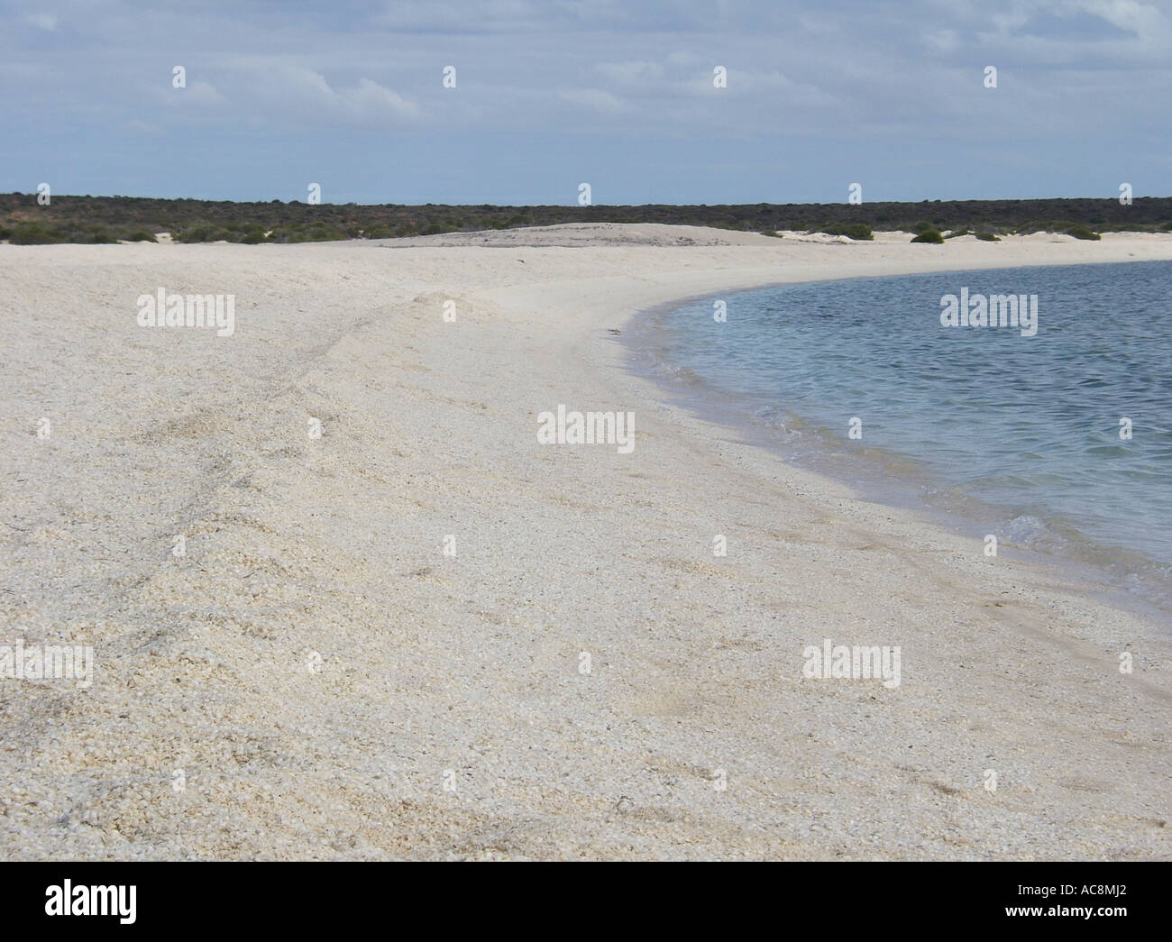 Shell Beach, Shark Bay, Westaustralien Stockfoto