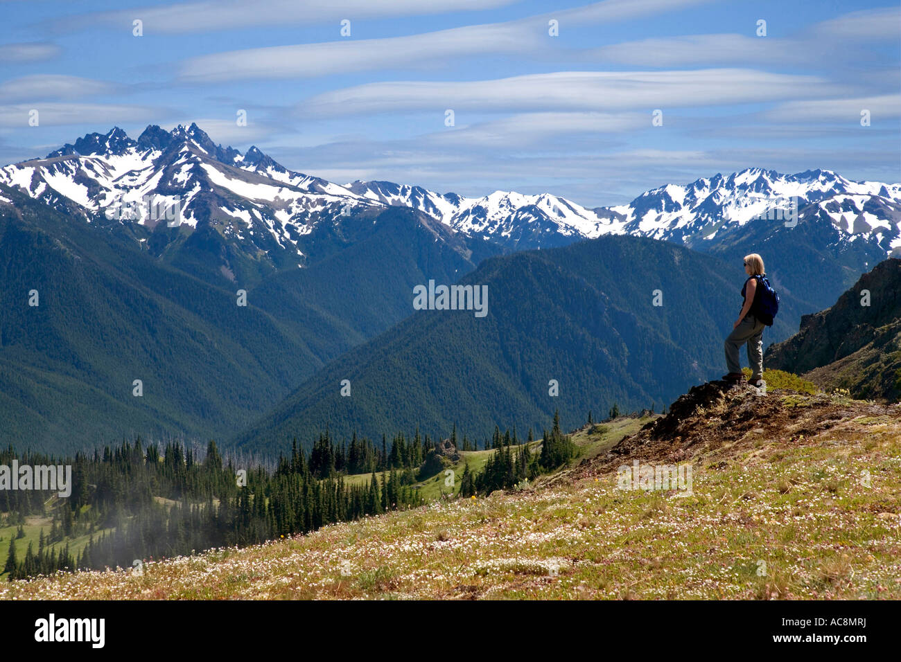 Frau steht auf einem Hügel Stockfoto