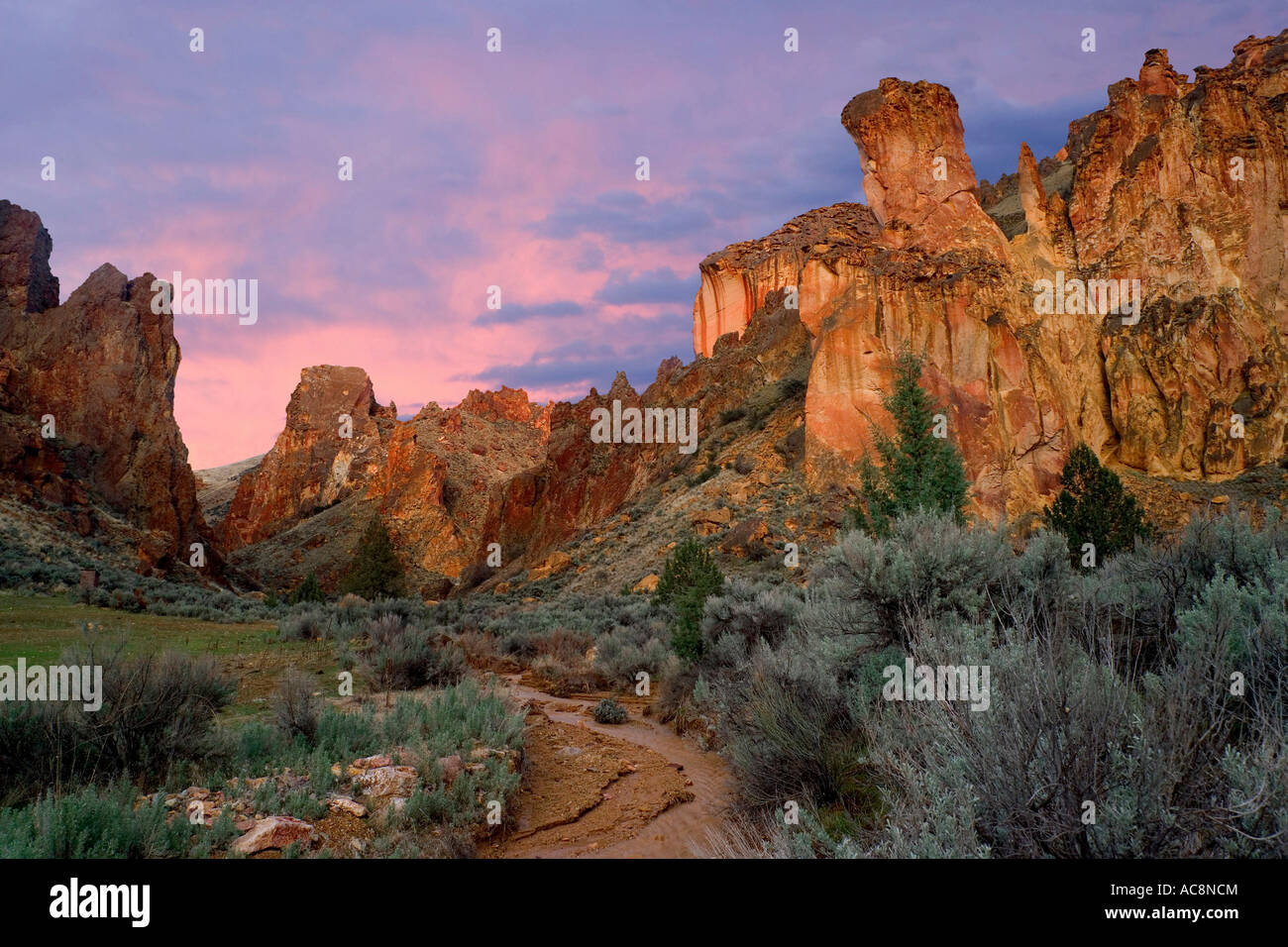 Felsformationen in einer Landschaft, Leslie Gulch, Oregon, USA Stockfoto