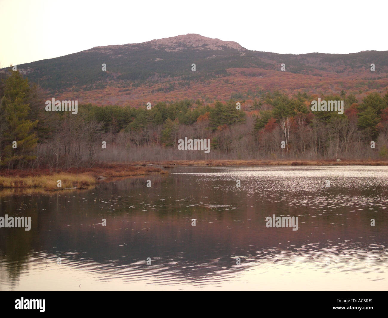 AJD44245, Monadnock Staatspark, NH, New Hampshire Stockfoto