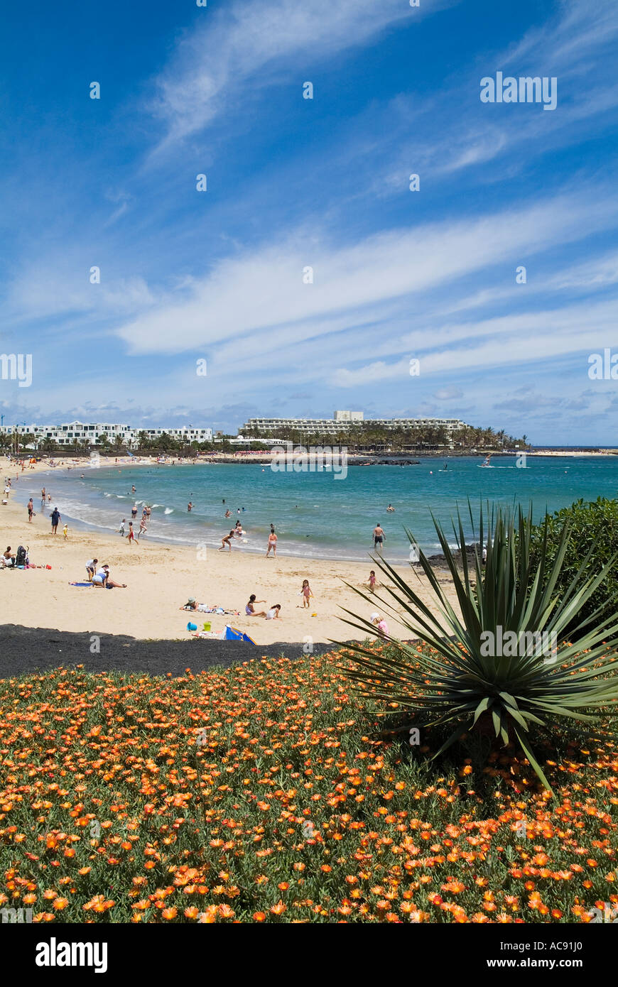 Dh Playa de las Cucharas COSTA TEGUISE LANZAROTE Menschen Sonnenbaden am Strand Blumen und Kakteen Kanarische Inseln Stockfoto