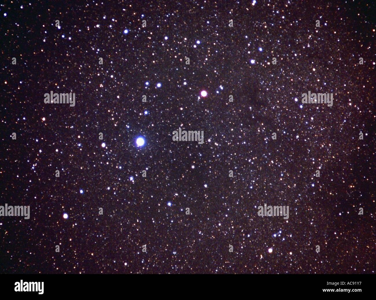 Alpha Stern Altair in Aquila, 12. hellste Stern am Himmel, dreht sich die A5-Star um seine Achse, 10,4 Stunden, Deutschland Stockfoto