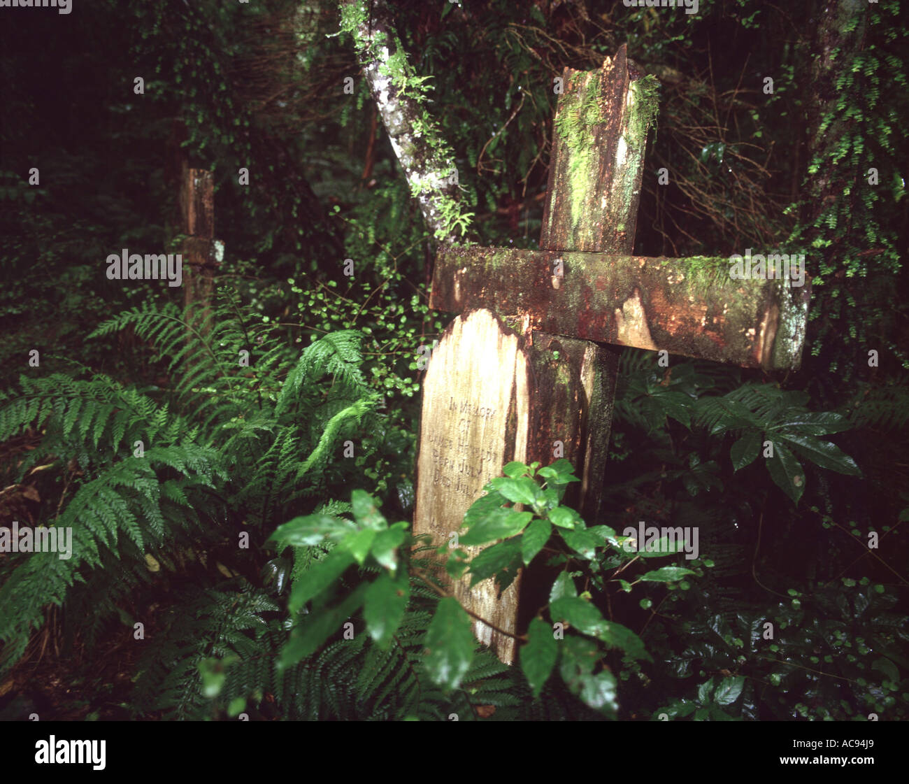 Grab der Siedler in Neuseeland, New Zealand, Suedinsel Stockfoto