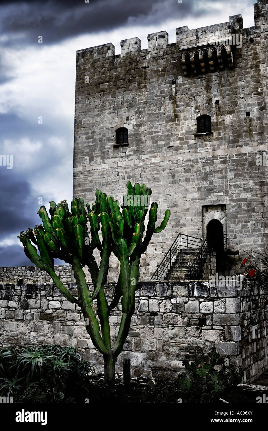 Kaktus in der Nähe von Kolossi Burg mittelalterliche Festung Zypern Stockfoto