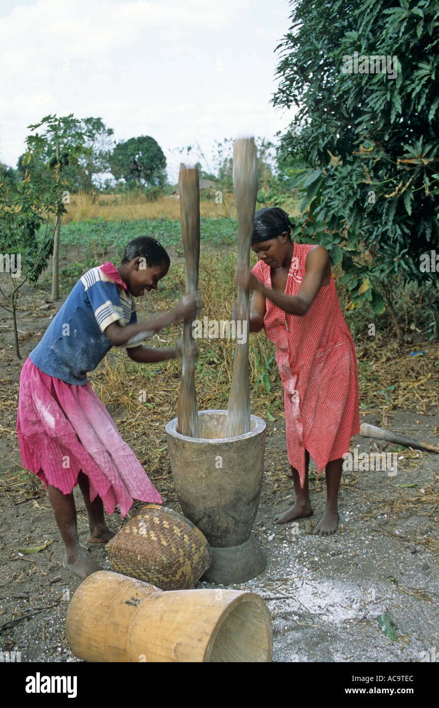 Frauen schlagen Manioka, Kande, Malawi Stockfoto