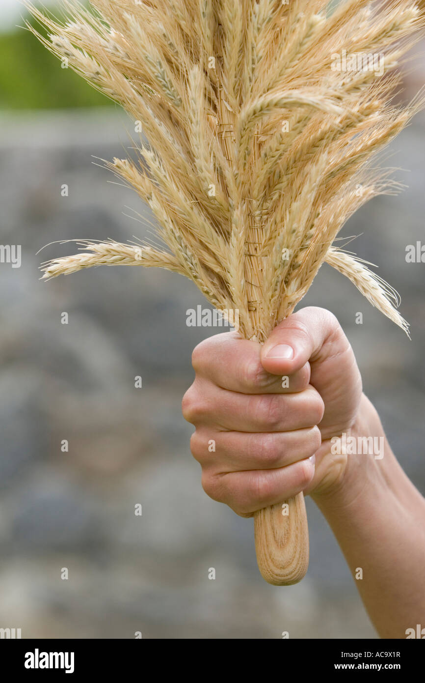 Reifentanz, traditioneller Tanz für das Erntedankfest, Südtirol, Italien Stockfoto