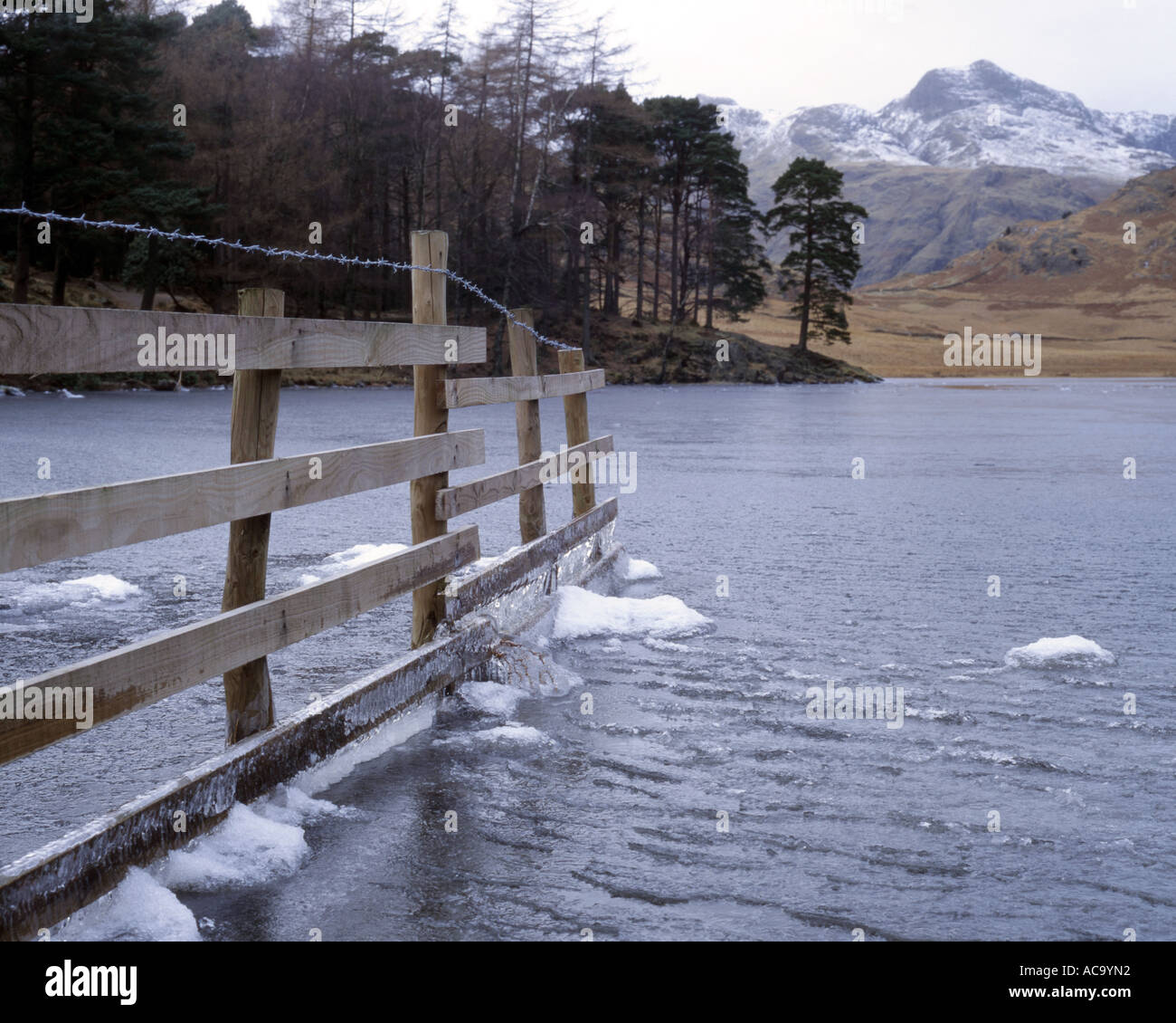 Gefrorene Tarn Stockfoto