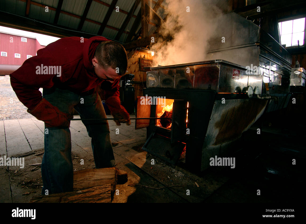 Ein Bauer arbeitet in einem traditionellen sugarhouse und kocht ahornsaft zu reinem Ahornsirup. Der Dampf steigt aus den großen Verdampferschalen, da der saft vorsichtig ist Stockfoto
