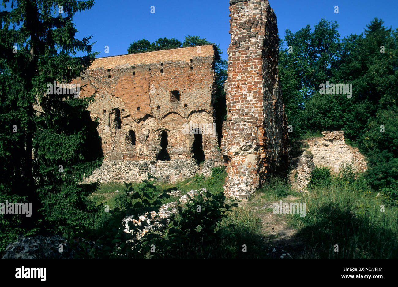 Ruine der Ordensburg, Viljandi, Estland Stockfoto