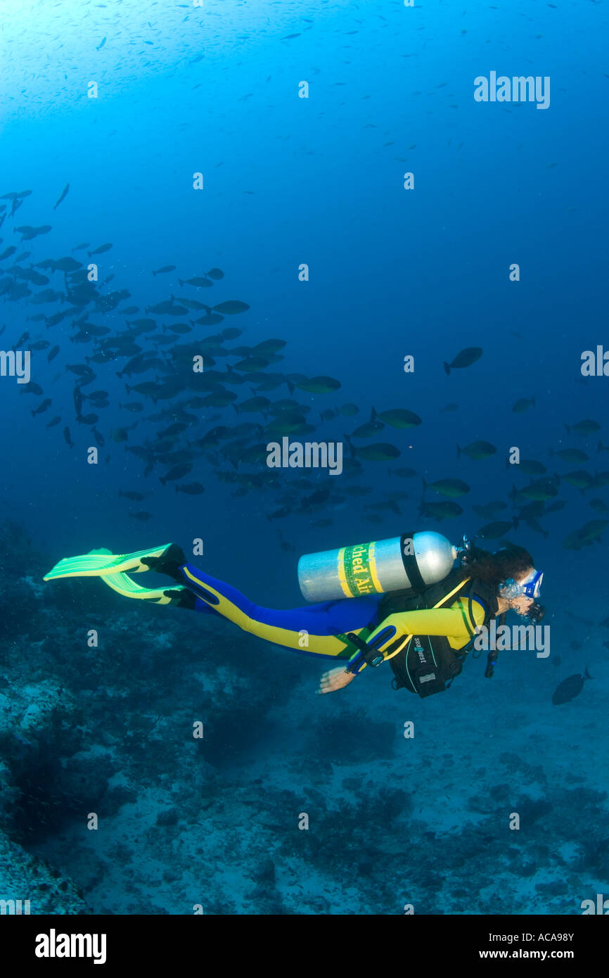 Taucher mit einem Nitrox-Tank schwimmt in einer Welle. Stockfoto